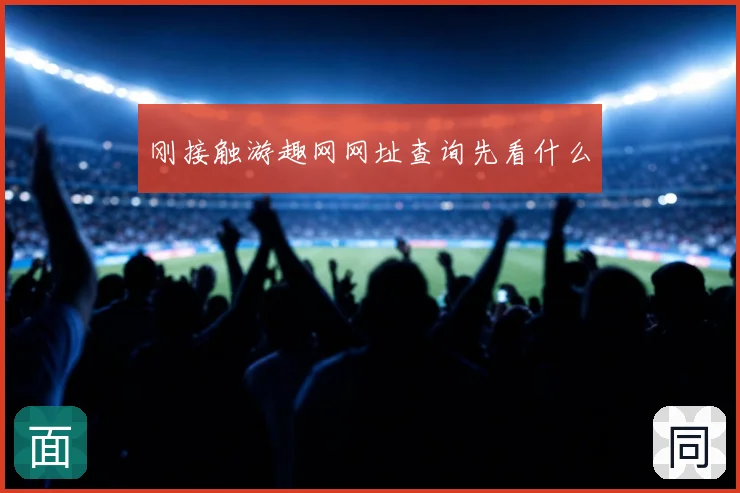 刚接触游趣网网址查询先看什么